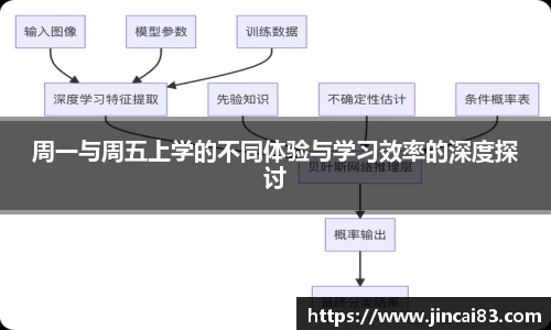 周一与周五上学的不同体验与学习效率的深度探讨